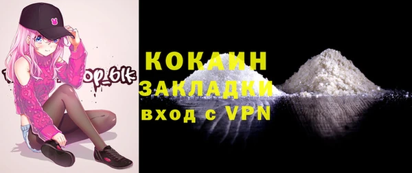 ПСИЛОЦИБИНОВЫЕ ГРИБЫ Бородино