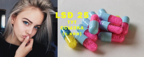 ПСИЛОЦИБИНОВЫЕ ГРИБЫ Бородино