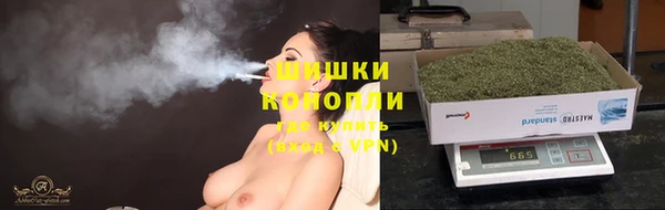ПСИЛОЦИБИНОВЫЕ ГРИБЫ Бородино