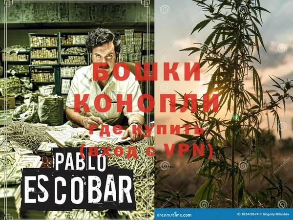 молекула духа Бугульма